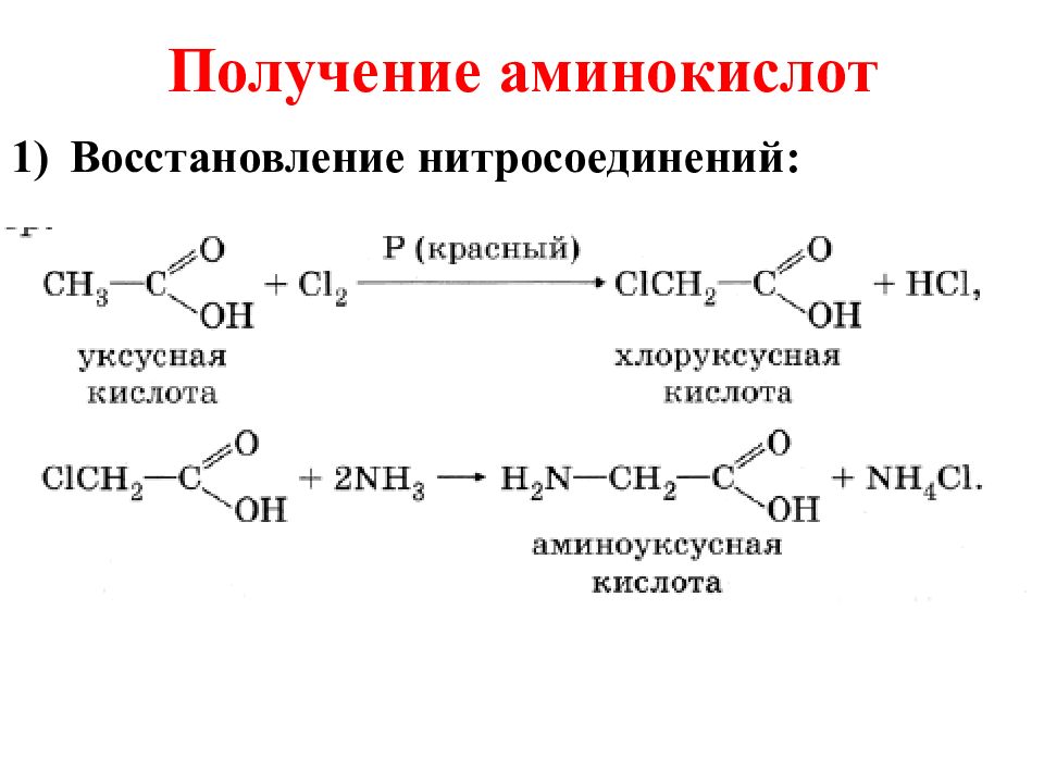 Аминоуксусная кислота метан. Реакция восстановления нитросоединений до Аминов. Синтез аминокислот из галогенкарбоновых кислот. Получения аминокислоты способы получения. Получение аминокислот реакции.