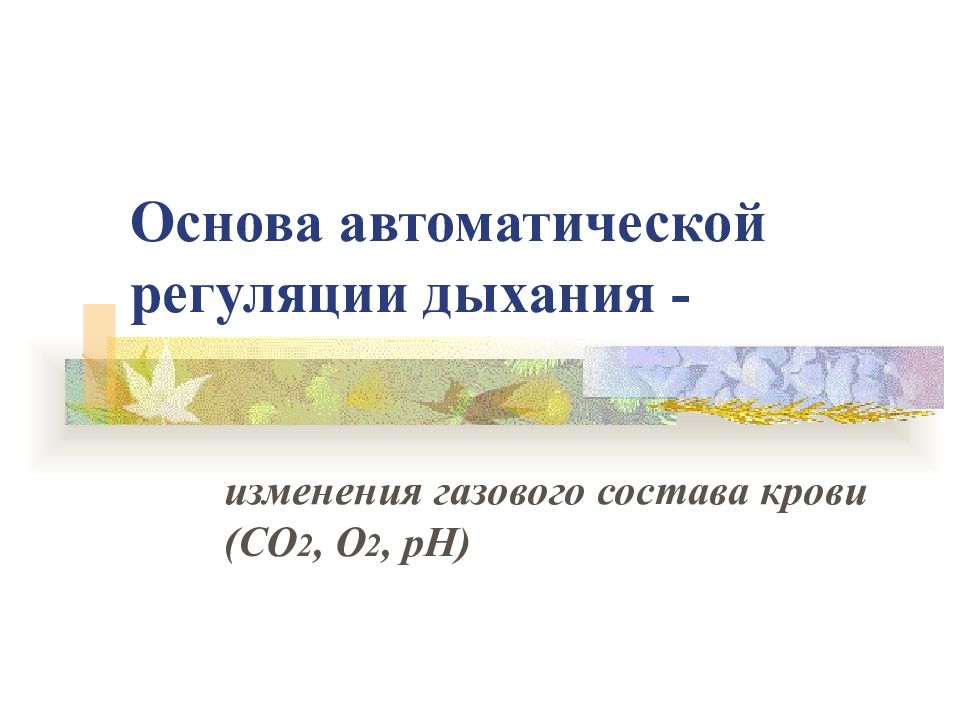 21 основ. Идеалы младших школьников. Ректор ИРО Свердловской области.