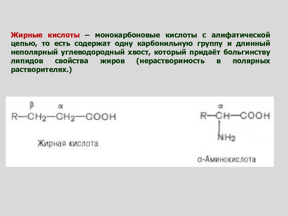 3 жирных кислот. Алифатические жирные кислоты. Алифатические монокарбоновые кислоты. Алифатическая цепочка. Алифатические углеводородные цепи.