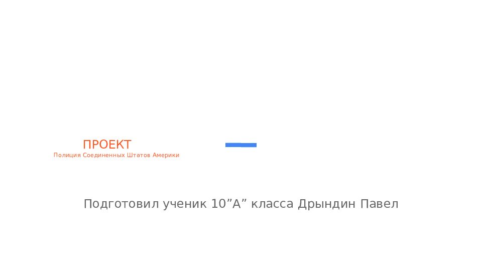 ПРОЕКТ П олиция Соединенных Штатов Америки