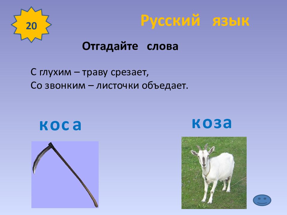 Коза коса. С глухим траву она срезает со звонким и листочки объедает ответ. Коза коса картинки для детей. Фонематическое восприятие коза коса.