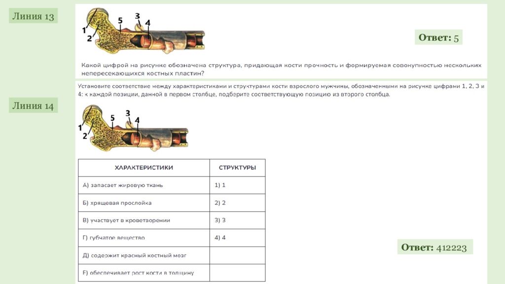 ЕГЭ 2027 ОДС ОТРАБОТКА