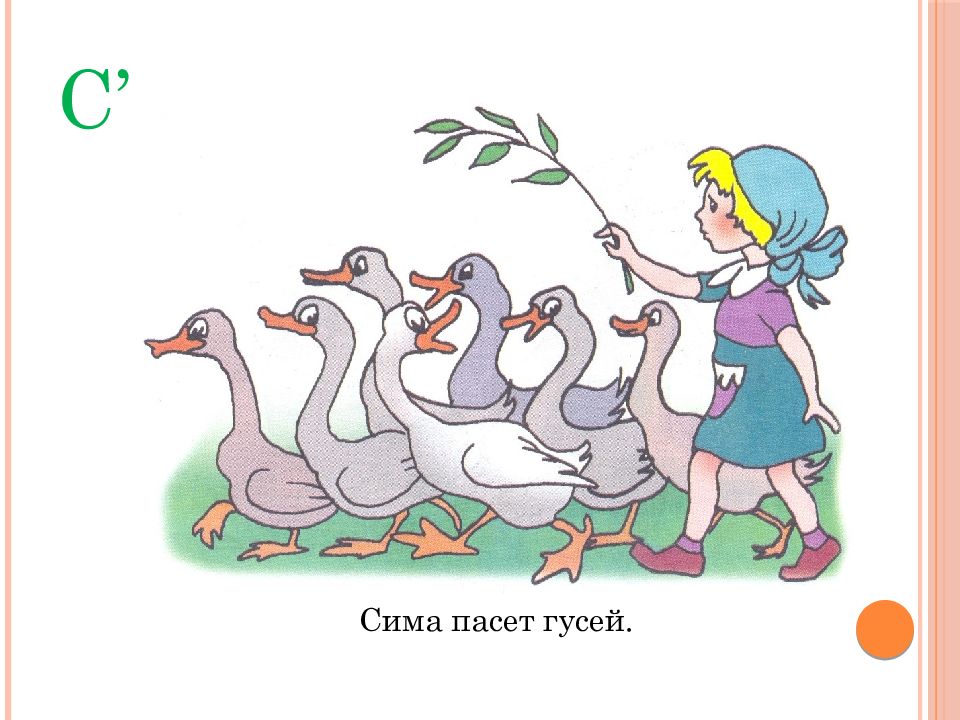 Гуси мои гуси. Рисунок гусей пасут. Сима пасет гусей. Мальчик пасет гусей. Девочка пасет гусей картинка.