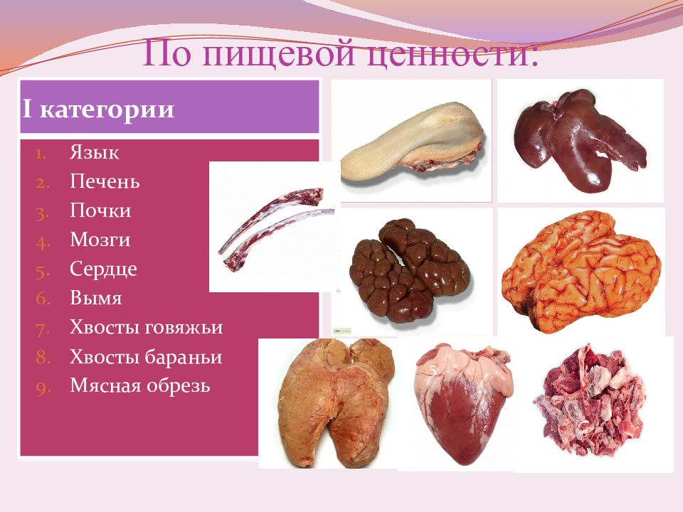 Можно собаке почки. Субпродукты мясо 1 категории. Классификация мясных субпродуктов.