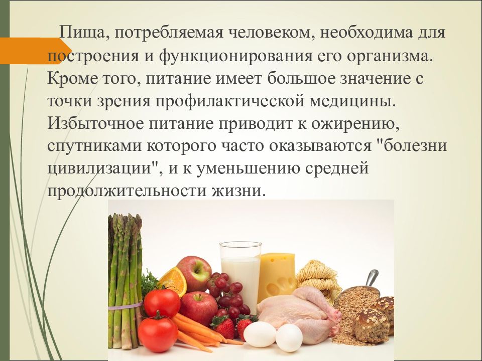 Презентация физиология питания 6 класс технология кулинария