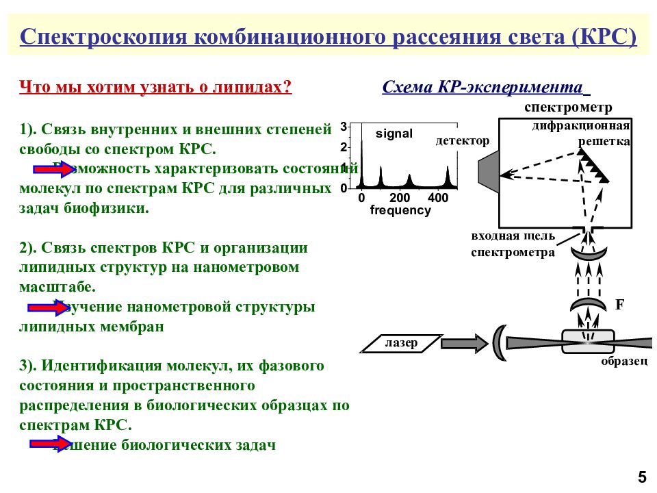 Оптика и спектроскопия