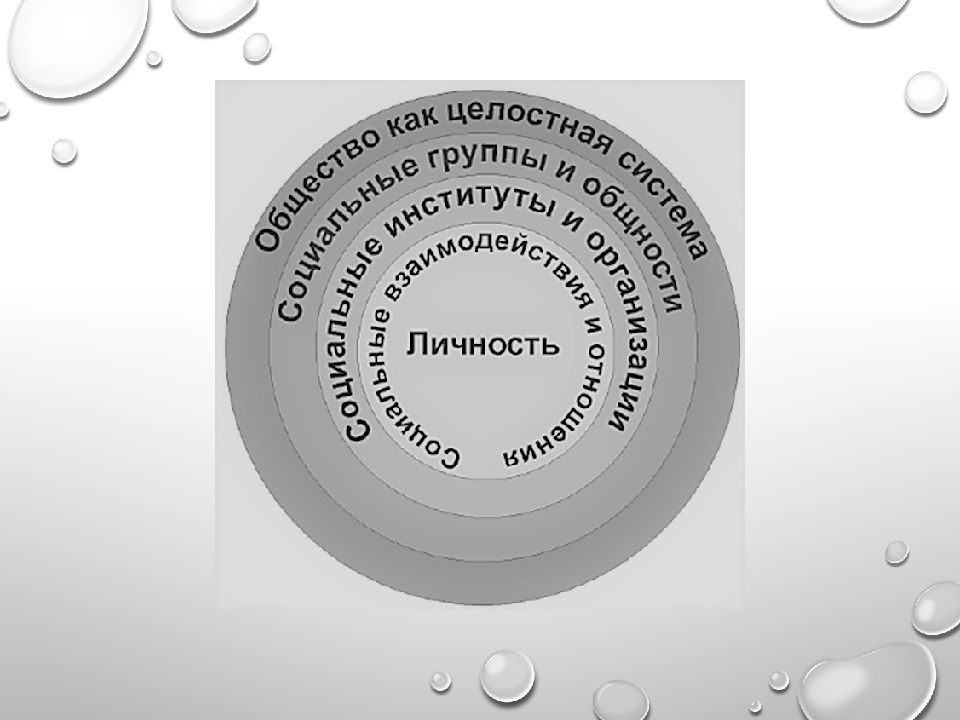 Социология в понимании социального мира презентация