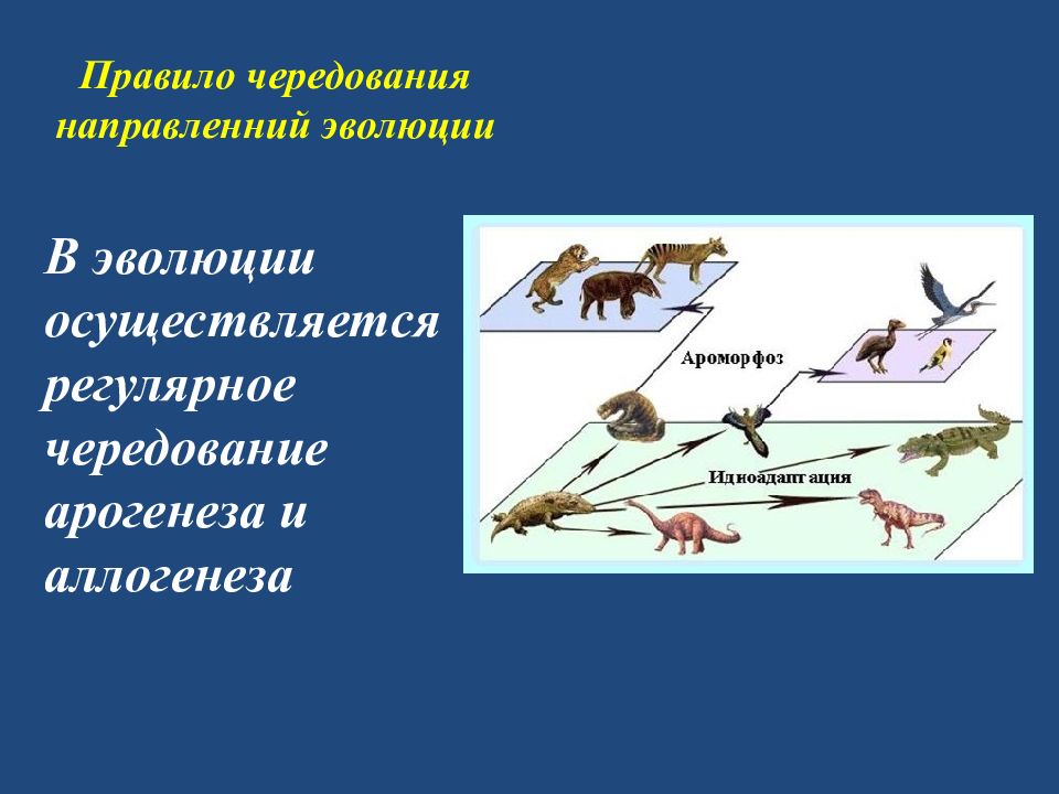 Современные представления о механизмах и закономерностях эволюции проект