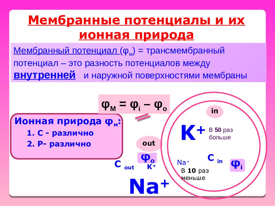 Мембранный потенциал. Мембранный потенциал физиология. Мембранный потенциал формула. Значение мембранного потенциала.