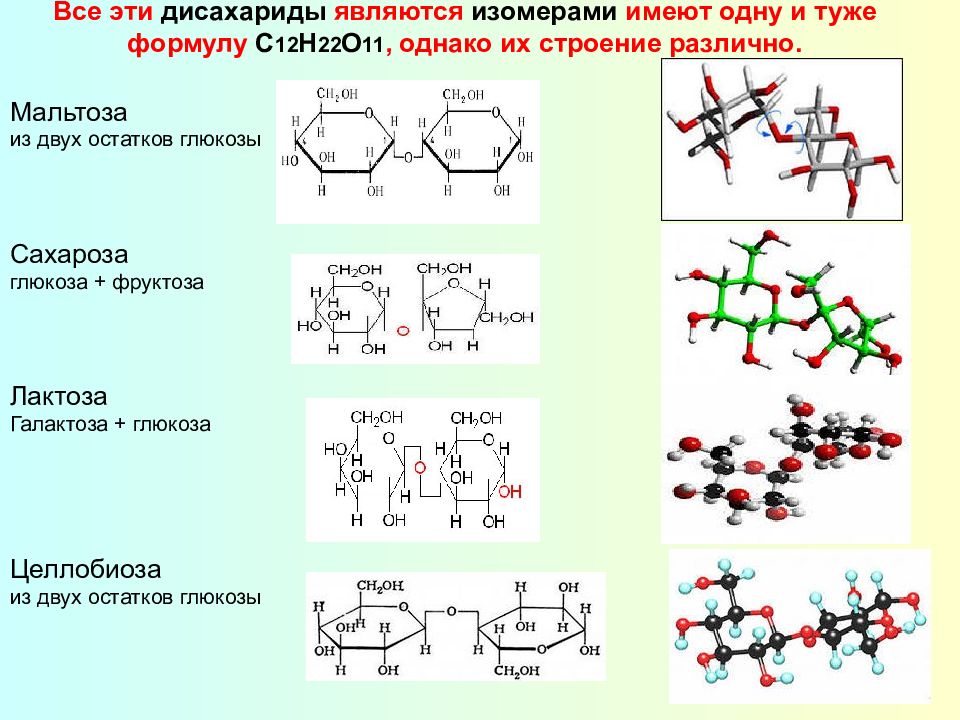 Дисахариды изомеры. Стереоизомерия дисахаридов. Формулы полисахаридов и дисахаридов. Сахароза мальтоза лактоза формулы. Дисахариды основные представители.