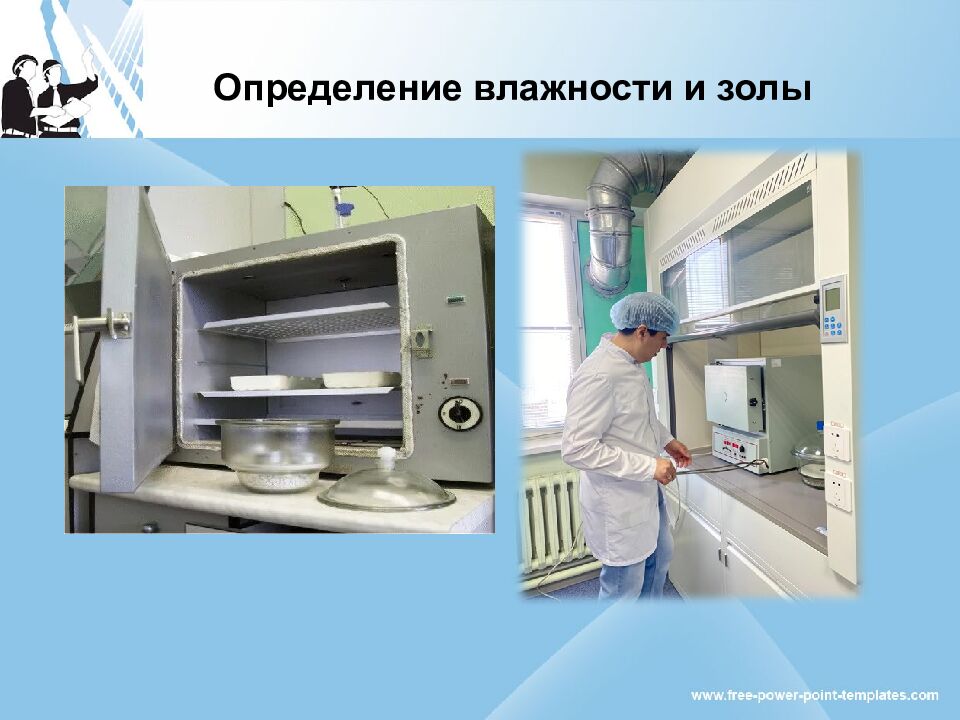 Образовательные программы и виды практики кафедры химии и фармацевтической