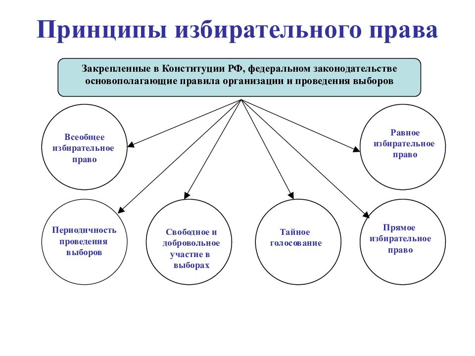 Основы голосования. Принципы избирательного процесса в Российской Федерации..