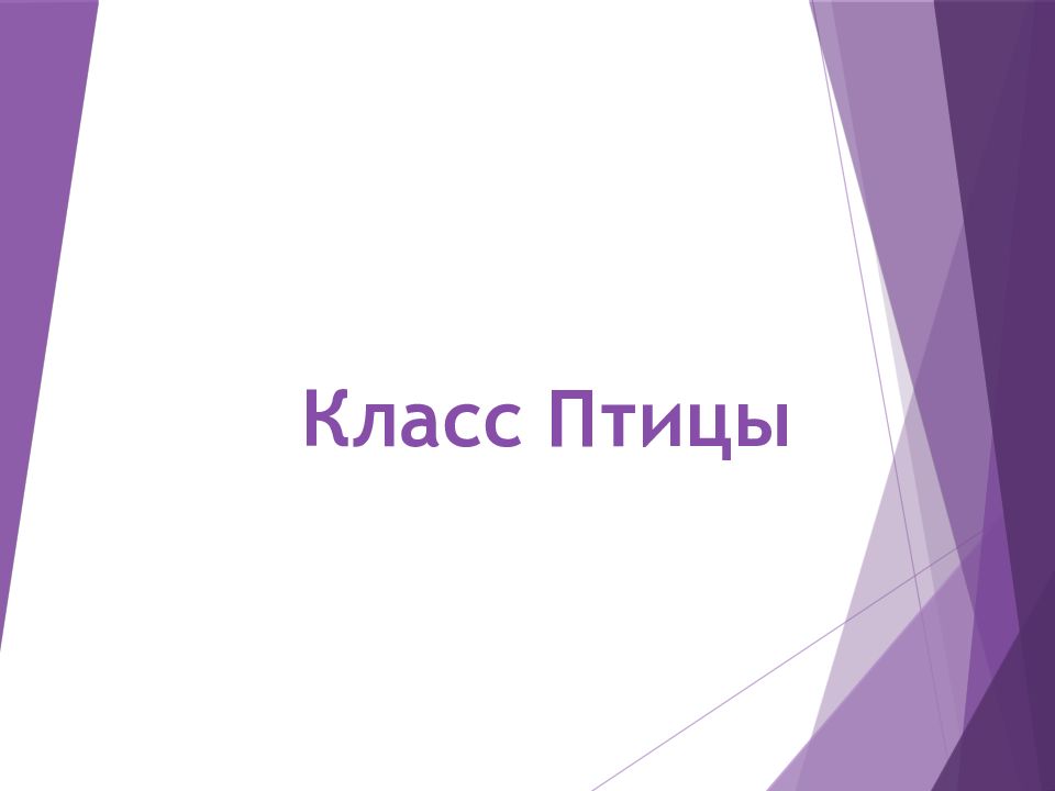 Класс Птицы