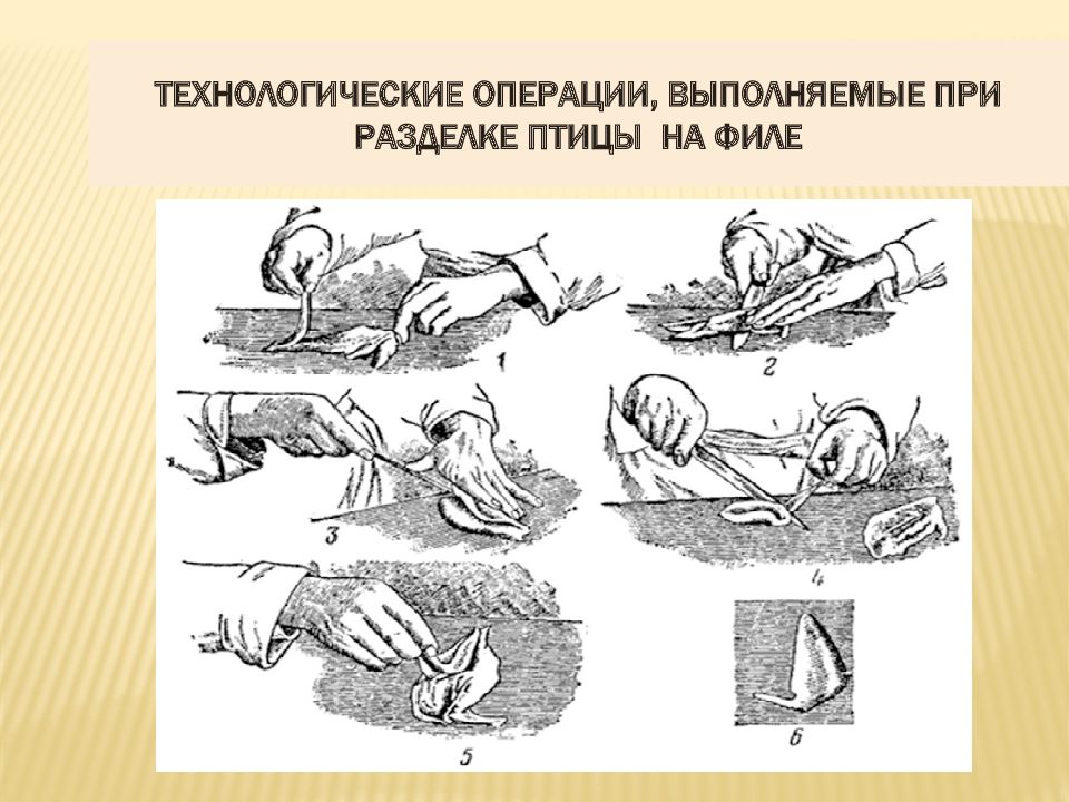 Разделка птицы на полуфабрикаты технологическая карта