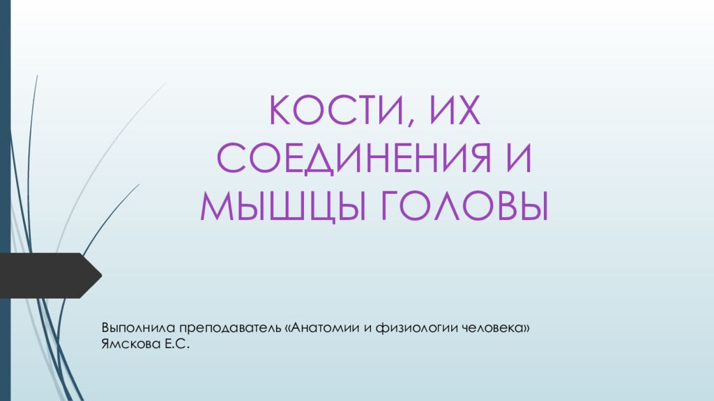 КОСТИ, ИХ СОЕДИНЕНИЯ И МЫШЦЫ ГОЛОВЫ Выполнила преподаватель «Анатомии и