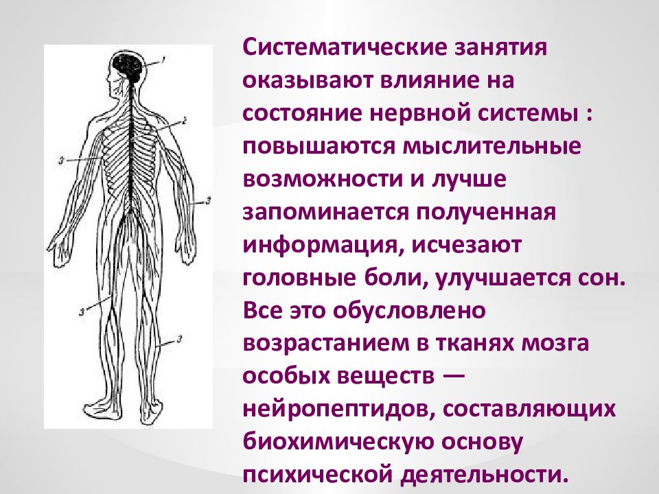 Систематические занятия. Нервное состояние. Факторы, влияющие на состояние нервной системы. Значение нервной системы для организма 4 класс.