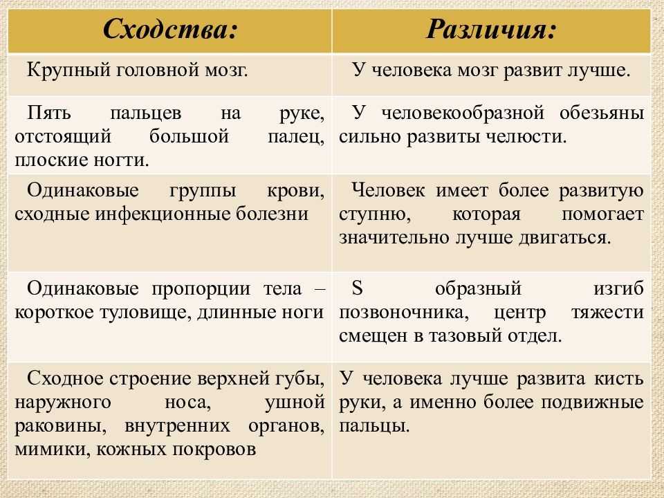 Как появился человек на Земле