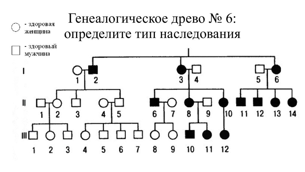 Виды родословных. Родословная типы наследования. Генеалогическое дерево наследования. Тип наследования Древо. Генетическое дерево наследственности.