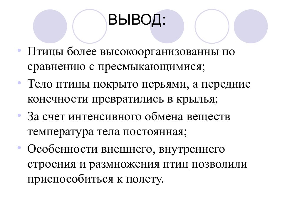 Птицы вывод. Вывод о птицах. Класс птицы вывод. Сравнение видов птиц вывод. Особенности внешнего строения пресмыкающихся и птиц вывод.