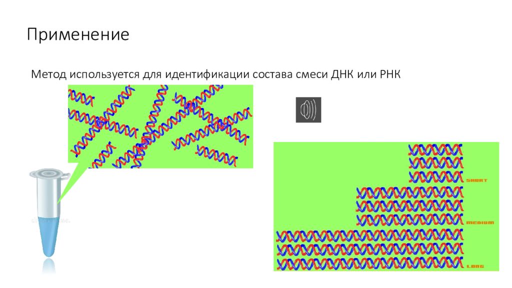 Гель-электрофорез — презентация