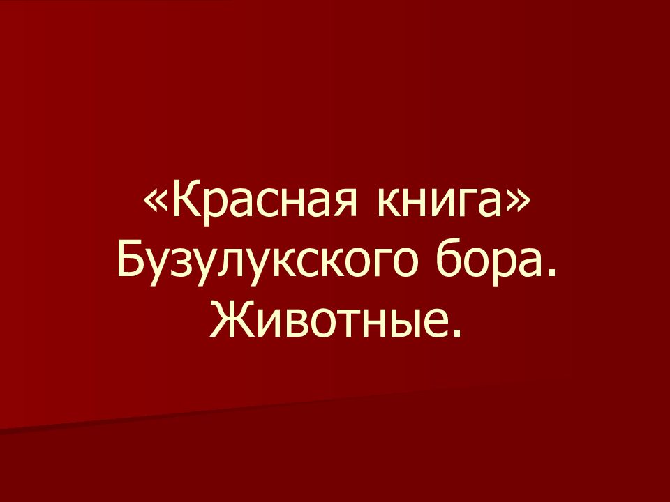 «Красная книга» Бузулукского бора. Животные.