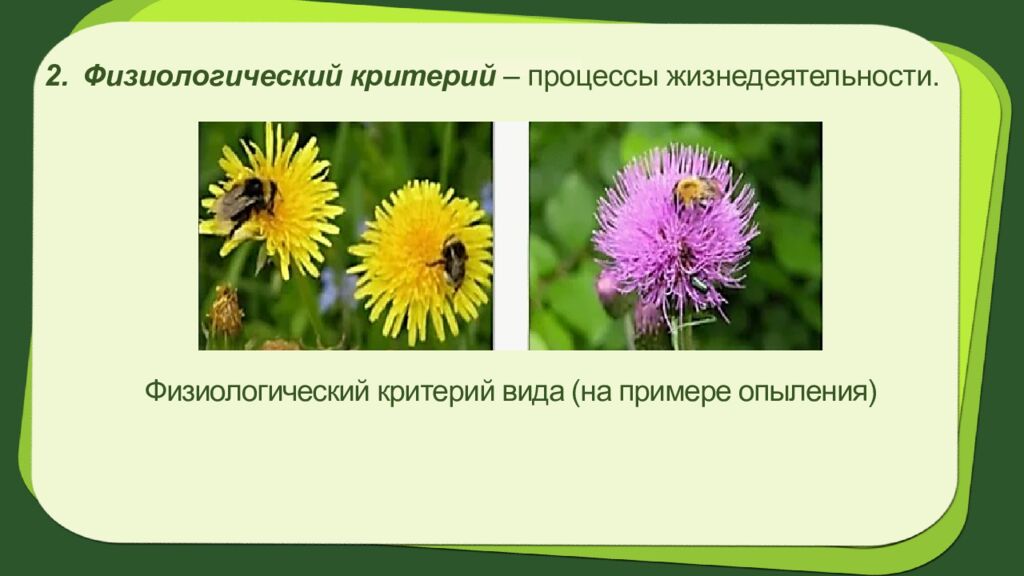 Биология 7 класс Тема урока: § 2.Систематика растений