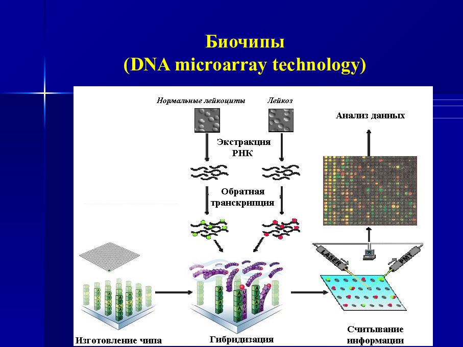 Днк чипы презентация