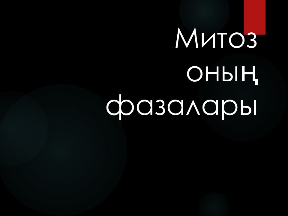Митоз оның фазалары