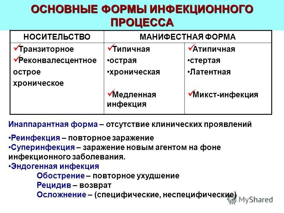 Виды инфекции схема