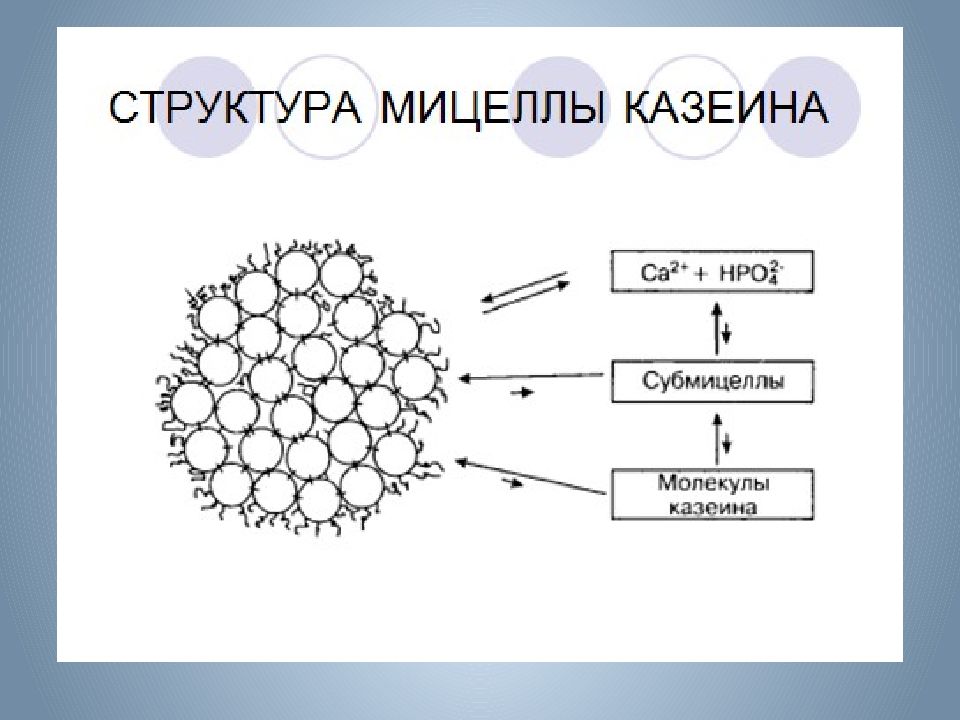 Презентация биохимия молока