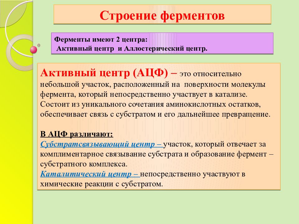 Презентация по ферментам