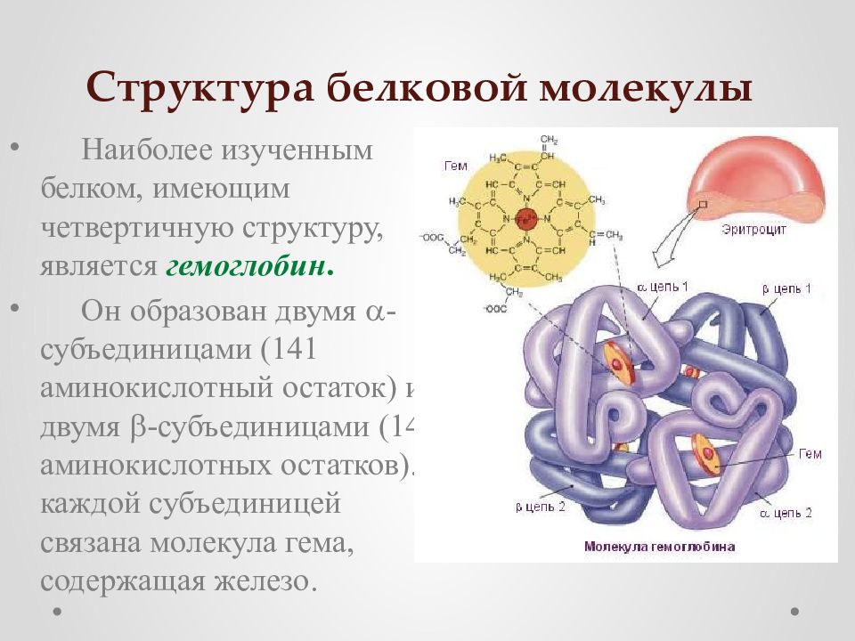 2 строение белков. Белковая молекула строение. Структуры молекул белков таблица. Структура белковой молекулы таблица. Структура белковой молекулы.