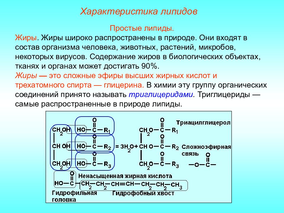 Состав жиров отражается схемой