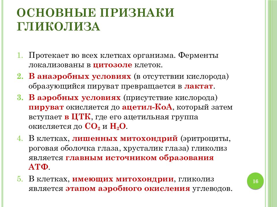 Активно протекающим. Гликолиз характеристика. Признаки характерные для гликолиза. Ферменты анаэробного гликолиза. Основные этапы гликолиза.