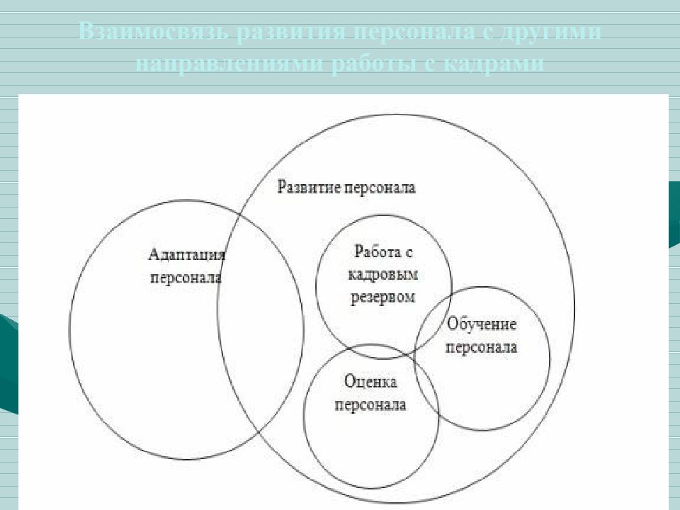 Взаимосвязь развития. Развитие персонала схема. План развития персонала в организации. Развитие персонала в организации пример схема. Кадровое развитие персонала.