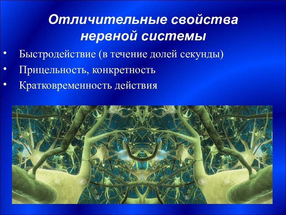 Наука изучающая нервную систему. Введение в изучение нервной системы. Отличительные способности. Кратковременность в биологии. Для нервных характерны свойства.