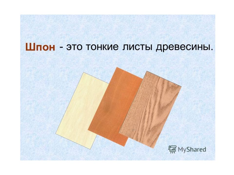 Лист древесины 4. Тонкий лист древесины. Шпон презентация. Тонкие листы шпона. Дерево тонкое листовое.