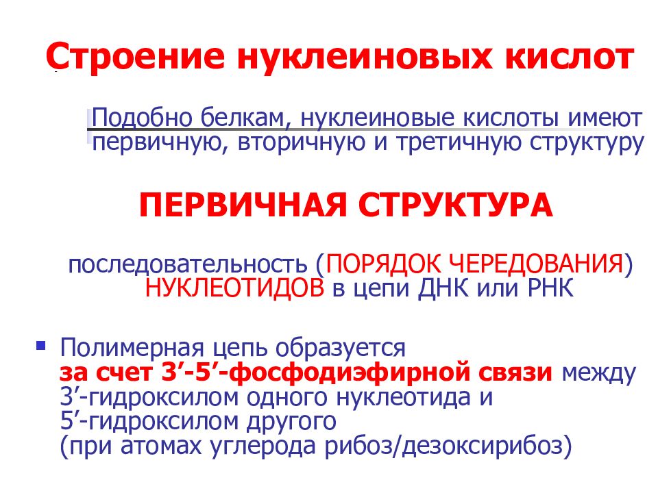 Структура и функции нуклеиновых кислот презентация 11 класс пономарева