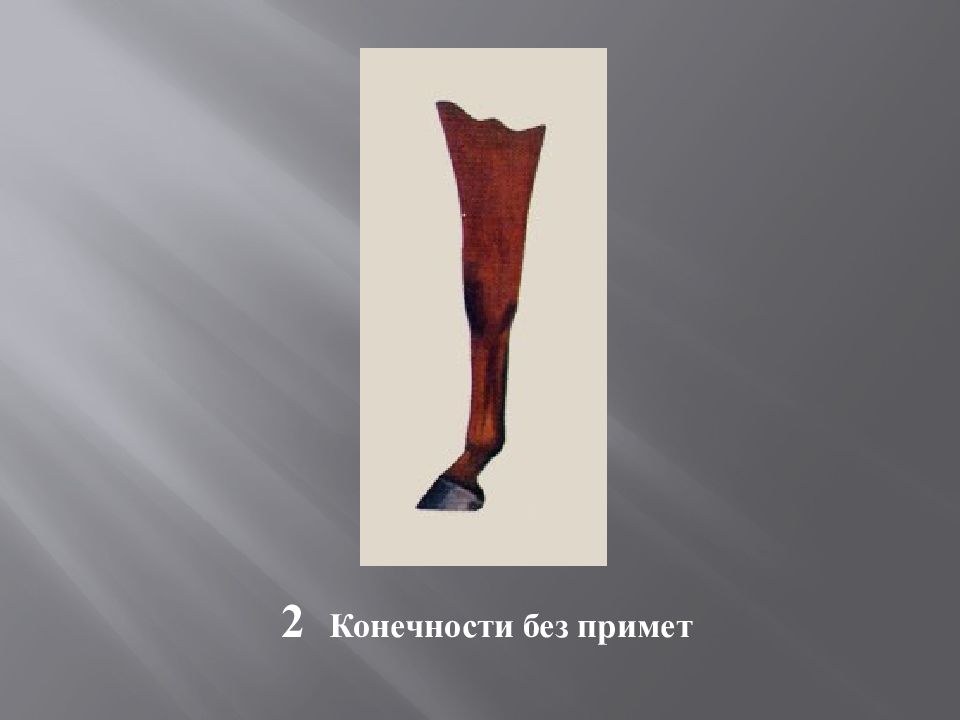 Масти и отметины у лошадей