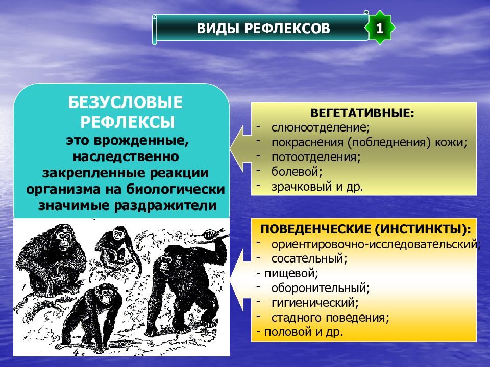 Основы психологии презентация