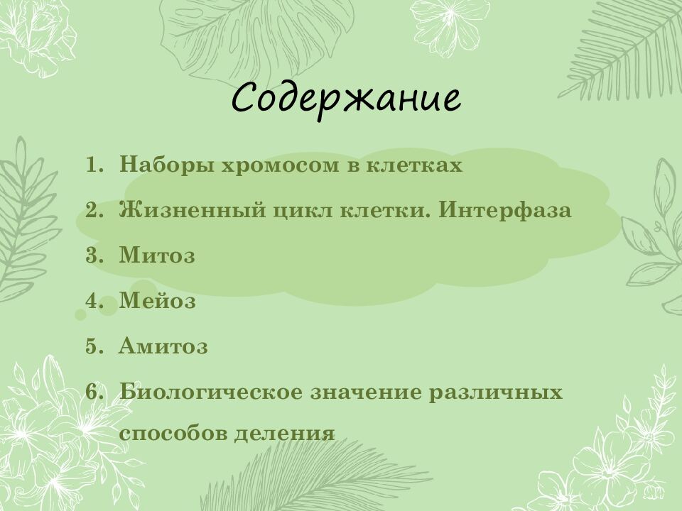 Содержание