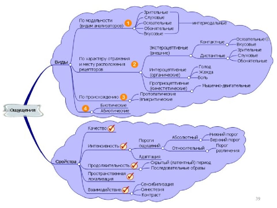 Ментальная карта по восприятию