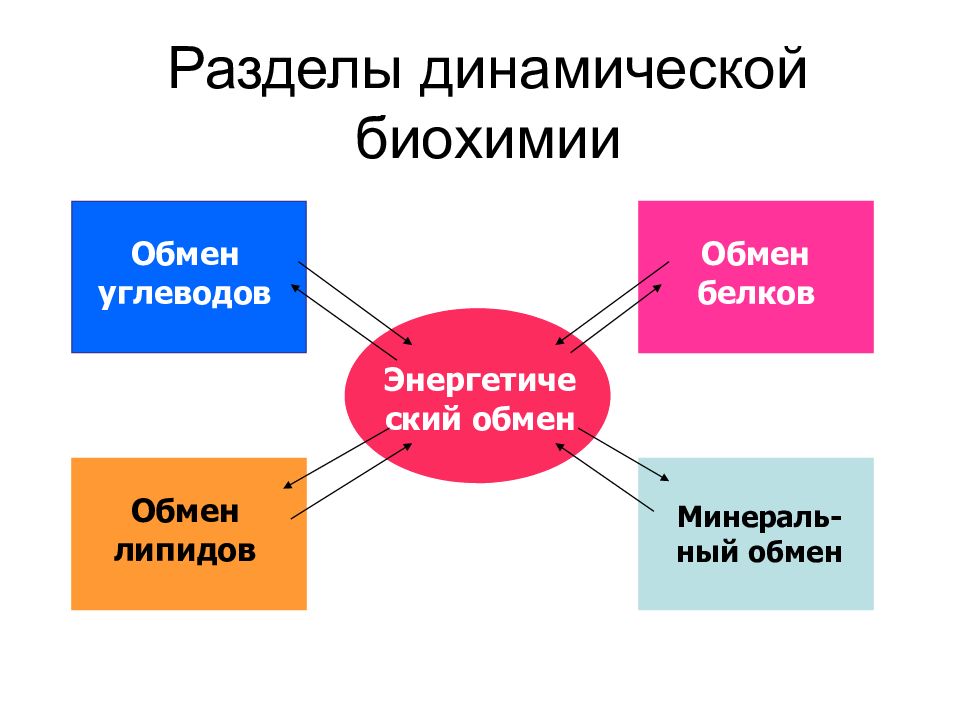 Биохимический обмен. Разделы биохимии. Минеральный обмен биохимия.