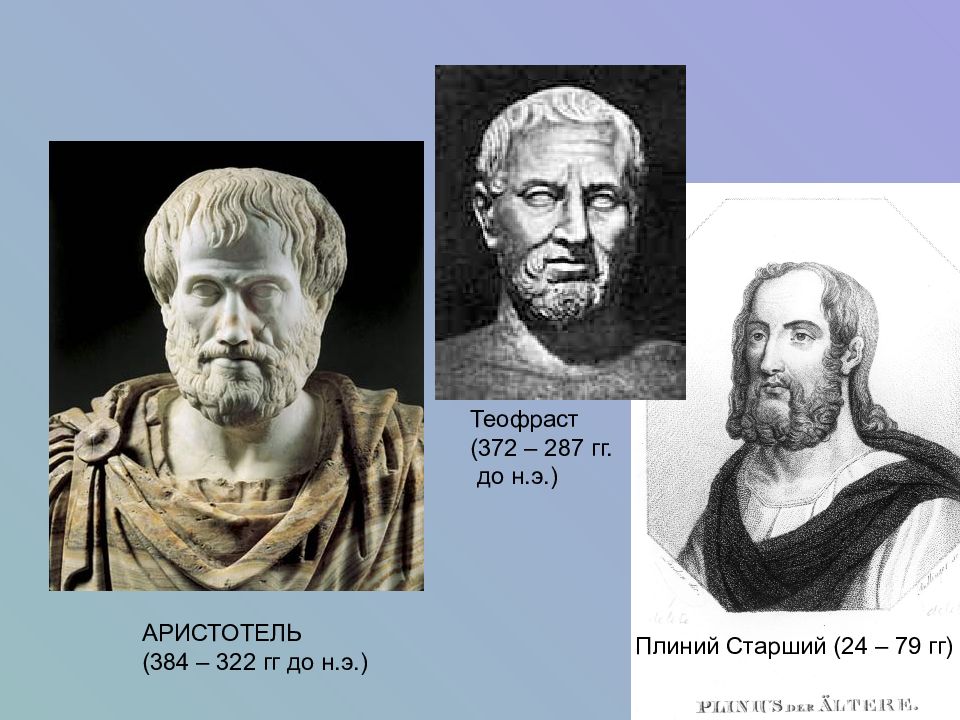 Аристотель гиппократ гален. Древняя греция гиппократ. Гиппократ и аристотель. Гиппократ, аристотель, герофил, эразистрат. Гиппократ аристотель.