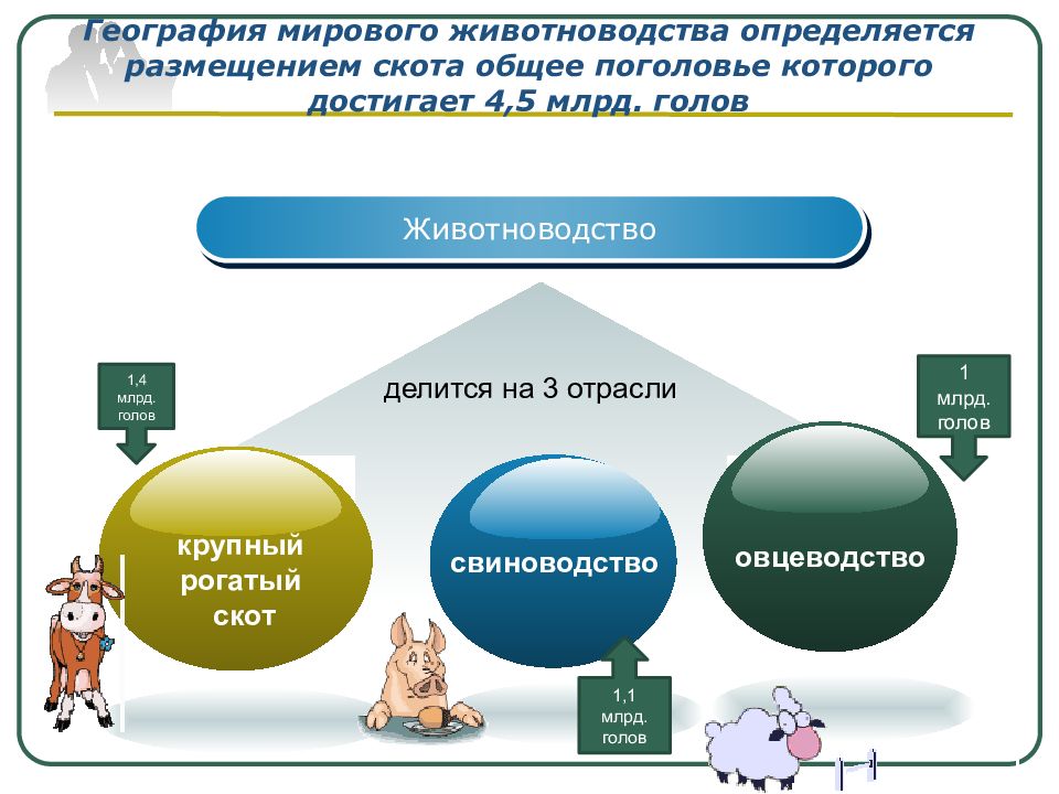 Непроизводственная сфера мирового хозяйства 10 класс презентация