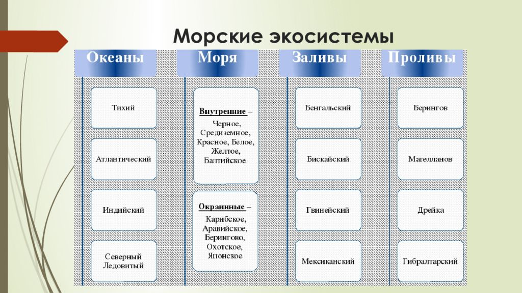 Морская экосистема презентация