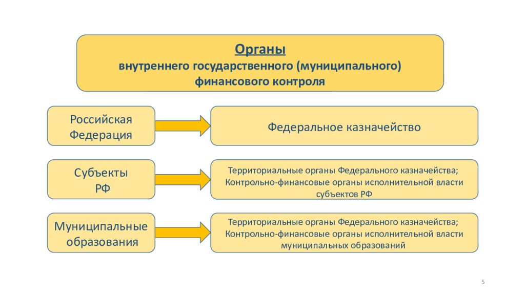 Органы осуществляющие государственный контроль. Органы внутреннего финансового контроля. Органы государственного и муниципального финансового контроля. Органы внешнего финансового контроля. Кто осуществляет внутренний финансовый контроль.