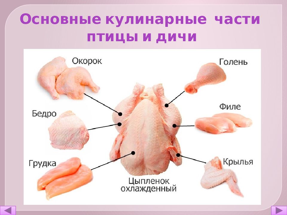 Мясо птицы презентация