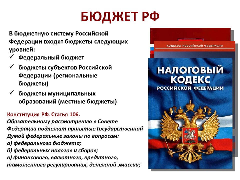 Гражданин рф презентация 10 класс боголюбов