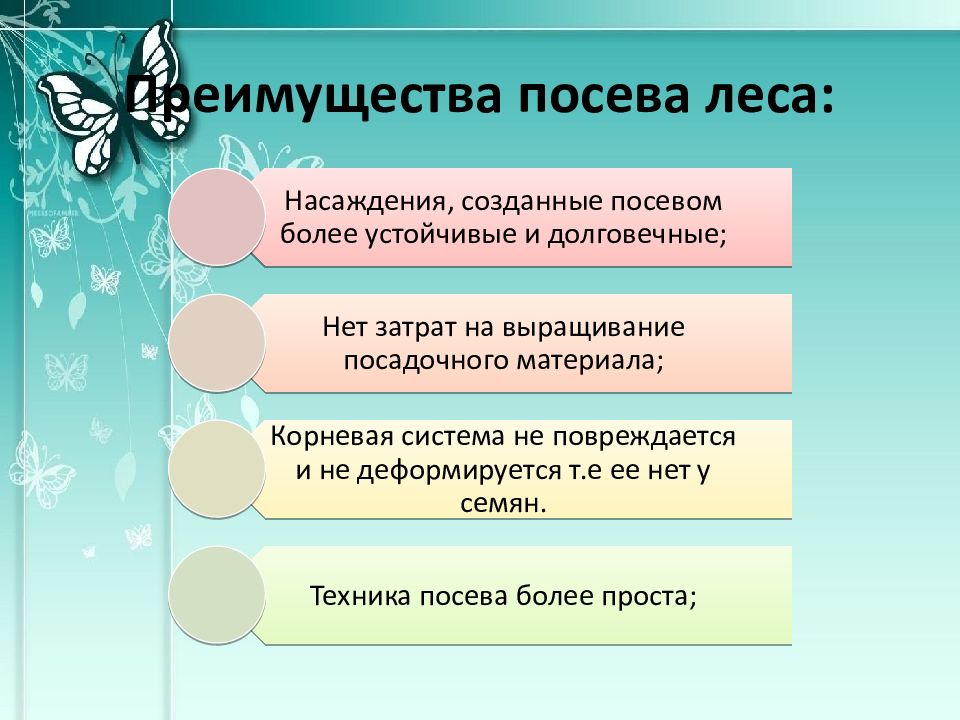 Защитное лесоразведение презентация